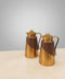 Matte Silver Thermos Set of 2